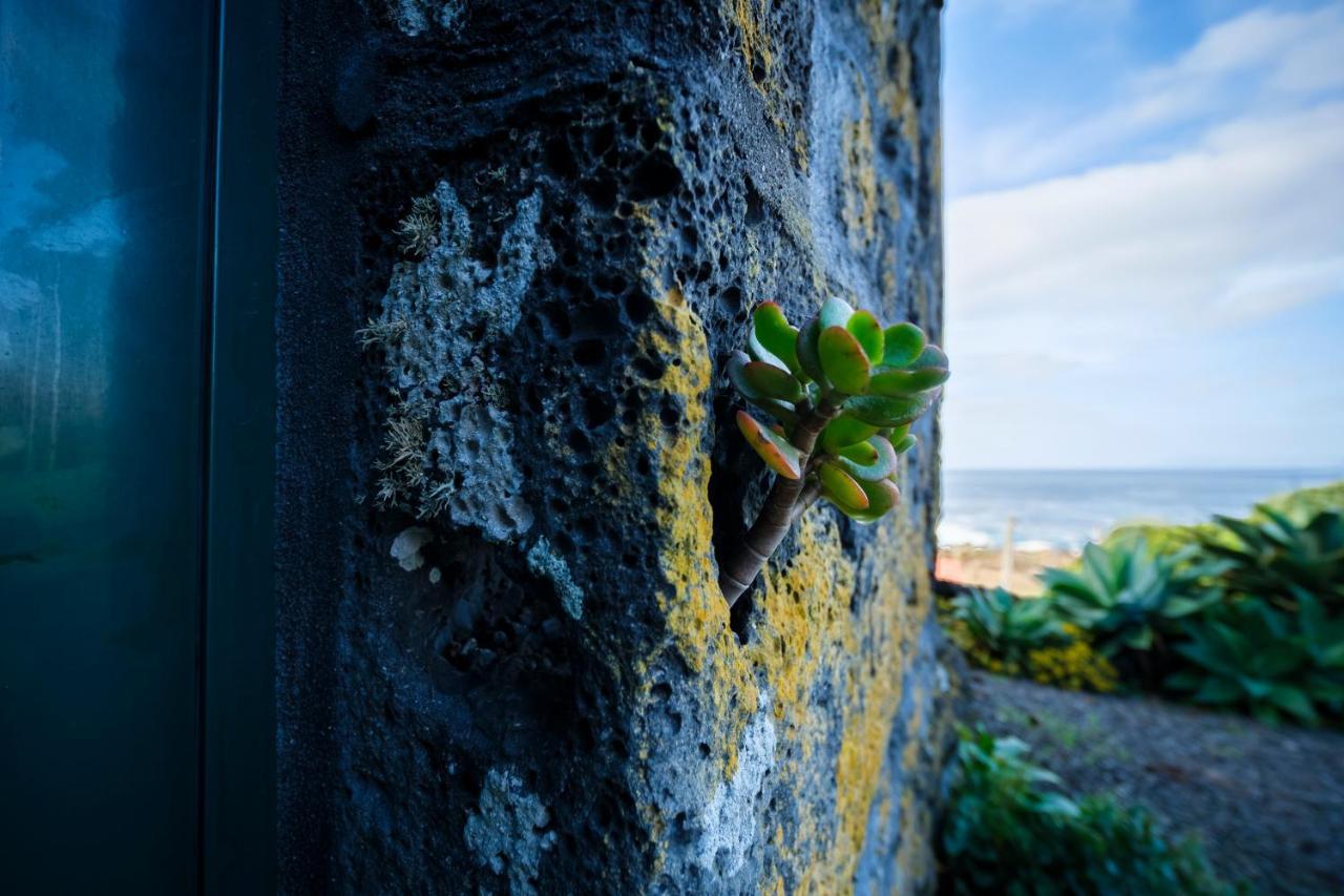 Stone Home Casa Do Caisinho Pico Island Terra Alta Экстерьер фото