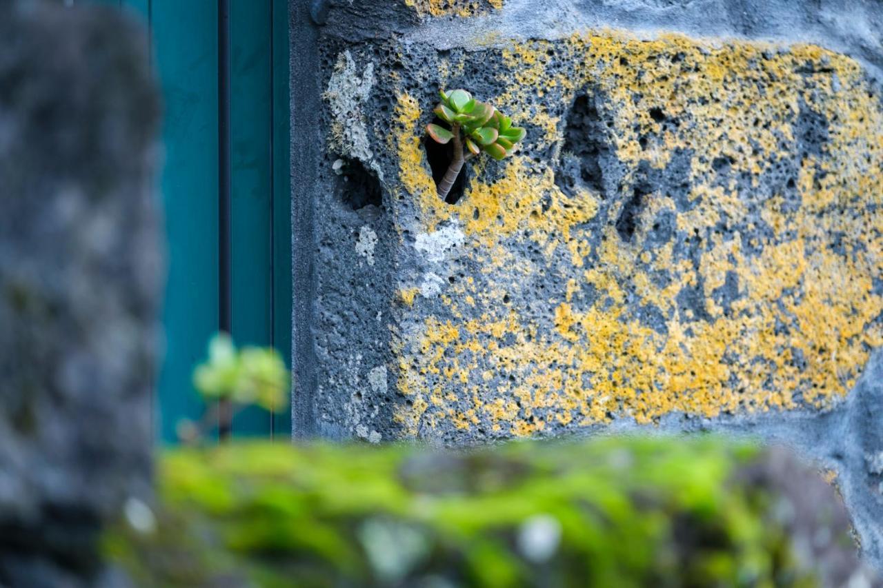 Stone Home Casa Do Caisinho Pico Island Terra Alta Экстерьер фото