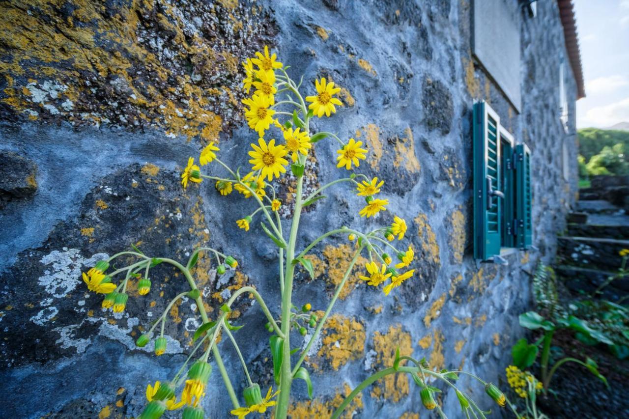 Stone Home Casa Do Caisinho Pico Island Terra Alta Экстерьер фото