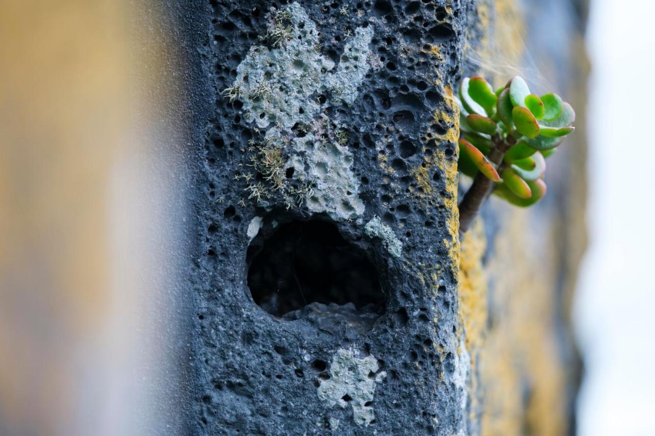 Stone Home Casa Do Caisinho Pico Island Terra Alta Экстерьер фото